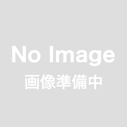 都心ウェディングフォト「SPECIAL PRICE」