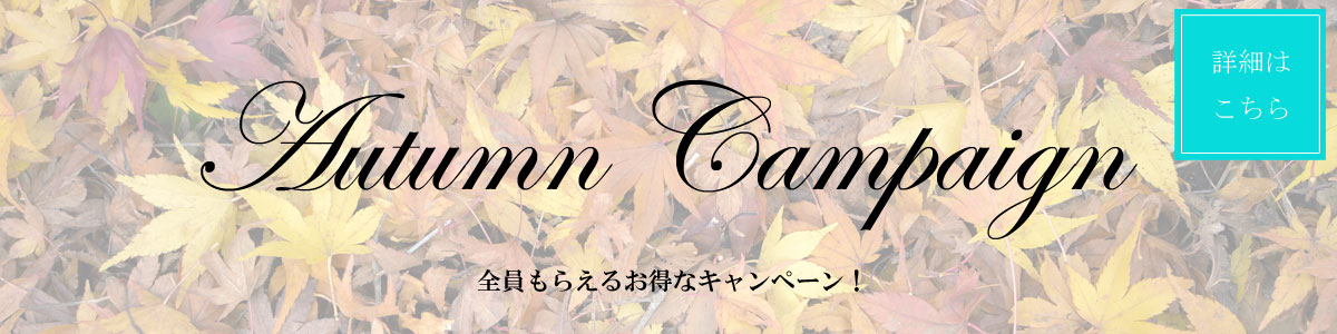 yQOQTNPOzK{ACeS炦Iv[gLy[